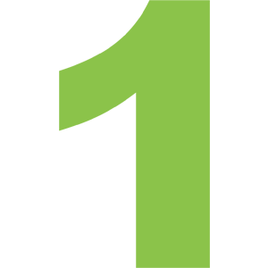 Fasi Trattamento Chiodo Endomidollare Telescopico 1