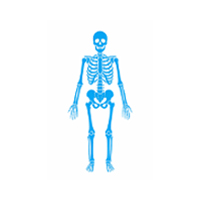 Patologie ORTOPEDICHE ILIZAROV MALAGOLI KIRKIENKO